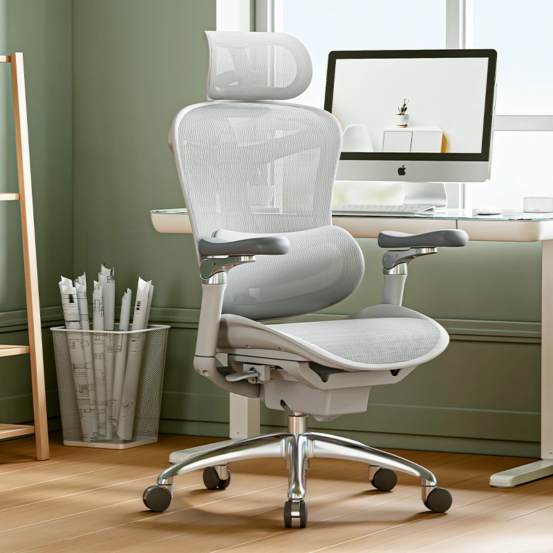 כסא משרדי אורטופדי SIHOO Doro-C300 PRO Gray כיסא משרדי יוקרתי ארגונומי אפור בהיר