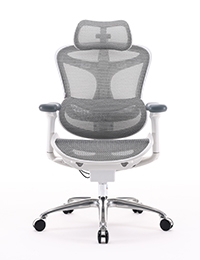 כסא משרדי אורטופדי Sihoo Doro C100 Pro Gray כיסא משרדי יוקרתי אורטופדי וארגונומי לבן/אפור בהיר