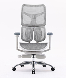 כסא משרדי אורטופדי  Sihoo Doro S100 Gray  כסא ארגונומי  ואורטופדי יוקרתי אפור