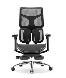 כסא משרדי אורטופדי  Sihoo Doro S100 Black  כסא ארגונומי ואורטופדי   יוקרתי שחור